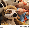 小米 POCO X7 開箱-相機拍照分享心得 (ifans 林小旭) (61).png