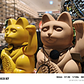 小米 POCO X7 開箱-相機拍照分享心得 (ifans 林小旭) (63).png