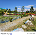 vivo X200 Pro 拍照比較 (ifans 林小旭) (1).png
