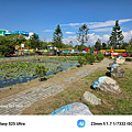 Samsung Galaxy S25 Ultra 拍照比較 (ifans 林小旭) (1).png