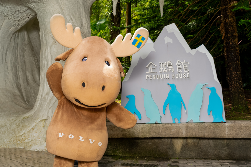 (3) 圖說：長期投入在地永續的VOLVO，加入臺北市立動物園合作動物認養計劃，認養國王企鵝、黑腳企鵝。.png
