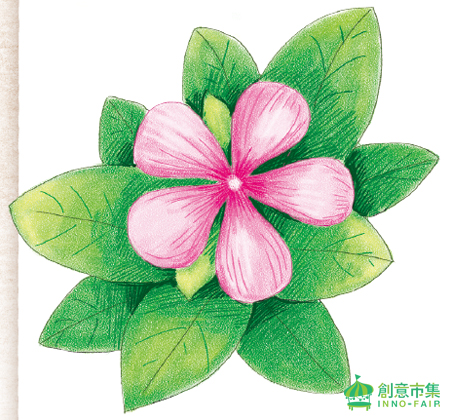 色鉛筆手繪教學 荷花 創意市集出版 痞客邦 色鉛筆手繪教學 荷花 創意市集出版 痞客邦