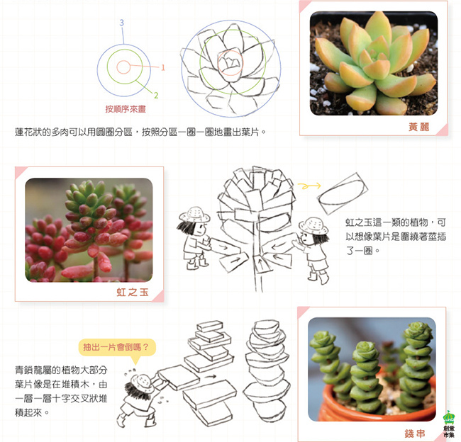 新書 色鉛筆畫多肉 多肉的基本形體畫法 創意市集出版 痞客邦 新書 色鉛筆畫多肉 多肉的基本形體畫法 創意市集出版 痞客邦