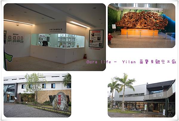  菌寶貝博物館 (4).jpg