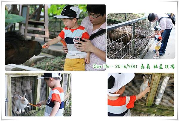 嘉義綠盈牧場 (6).jpg