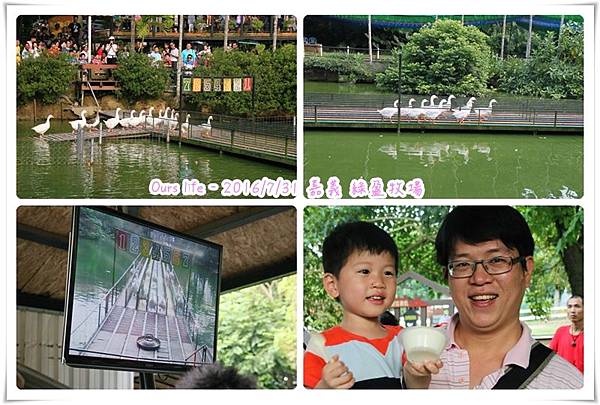 嘉義綠盈牧場 (8).jpg