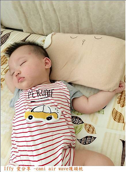 cani護頭枕 (6).JPG