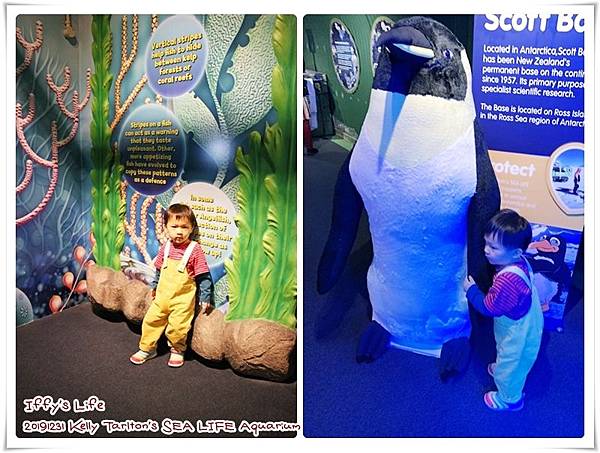 凱莉塔頓水族館 (6).jpg