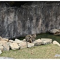 2020_新竹公園元宵樂 (13).JPG