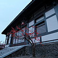紅梅