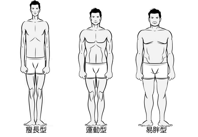 Bodytypes.jpg Bodytypes.jpg