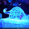 ICE WORLD 