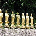 6MAY12DSCN2002-15菁桐平溪尋桐花