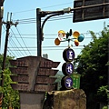 6MAY12DSCN2004-11菁桐平溪尋桐花