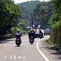 6MAY12DSCN2012-21菁桐平溪尋桐花