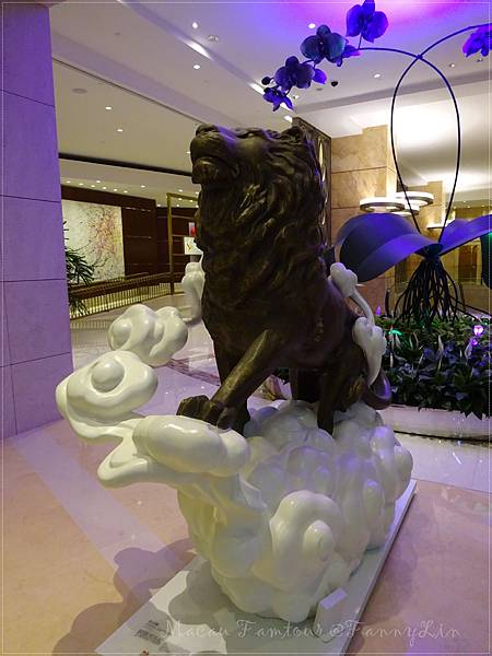 DSC02478.JPG