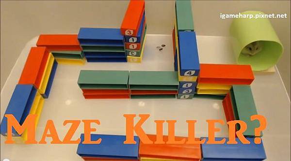 布丁鼠 挑戰迷宮六 暴力破解篇_Pixnet