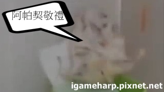 布丁鼠 挑戰玉米筍_3 布丁鼠 挑戰玉米筍_3