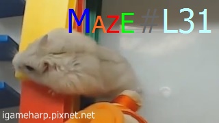 Hamster Maze L31 倉鼠 迷宮_2.jpg