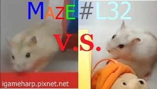 Hamster Maze L32 倉鼠 迷宮_5.jpg