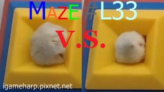 Hamster Maze L33 倉鼠 迷宮_4.jpg