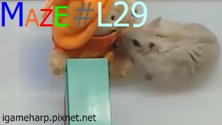 Hamster Maze L29 倉鼠 迷宮_2.jpg