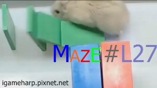 Hamster Maze L27 倉鼠 迷宮_2.jpg