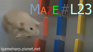 Hamster Maze L23 倉鼠 迷宮_2.jpg