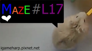 Hamster Maze L17 倉鼠 迷宮_2.jpg