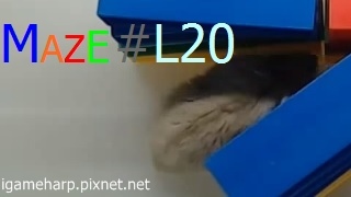 Hamster Maze L20 倉鼠 迷宮_2.jpg