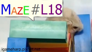 Hamster Maze L18 倉鼠 迷宮_2.jpg