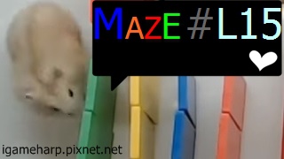 Hamster Maze L15 倉鼠 迷宮_2.jpg