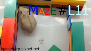 Hamster Maze L11 倉鼠 迷宮_2.jpg