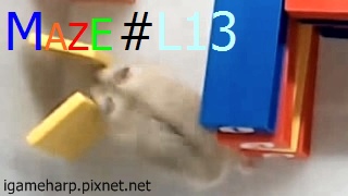 Hamster Maze L13 倉鼠 迷宮_2.jpg