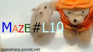 Hamster Maze L10 倉鼠 迷宮_2.jpg