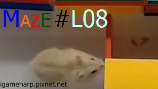 Hamster Maze L08 倉鼠 迷宮_2.jpg
