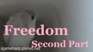 Hamster Freedom 倉鼠 不見了_2-2.jpg