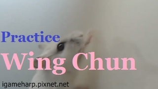 Hamster IP Man 倉鼠 葉問篇_3.jpg