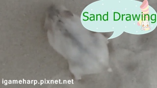 Hamster Sand Drawing 倉鼠 洗澡畫_2.jpg