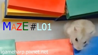 Hamster Maze L01 倉鼠 迷宮_2.jpg