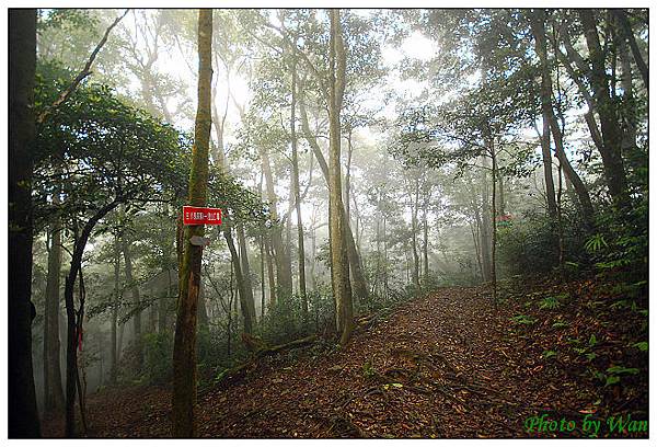 這裡是與第二登山口的叉路