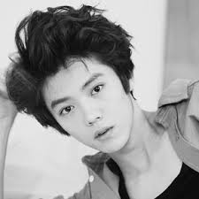 exo luhan