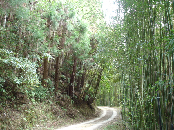 這就是產業道路