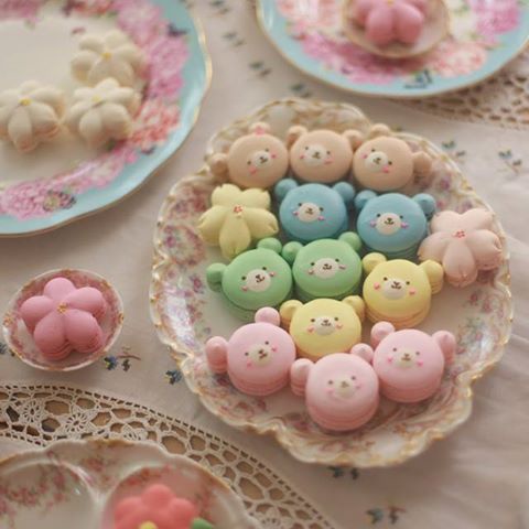 11416205_475394909284156_2707061463521564567_n