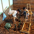 IMG_8733_調整大小.JPG