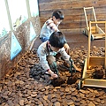 IMG_8716_調整大小.JPG