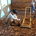 IMG_8695_調整大小.JPG