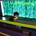 IMG_9520_調整大小.JPG