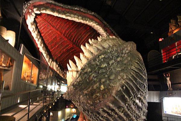 IMG_4547_調整大小