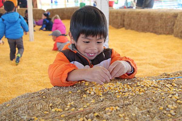 IMG_1714_調整大小